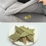 465713242 580107561249695 7882921354446589208 n.jpg 2