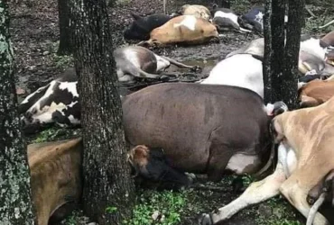 489221944 685952963777939 6684399975172493488 n.jpg