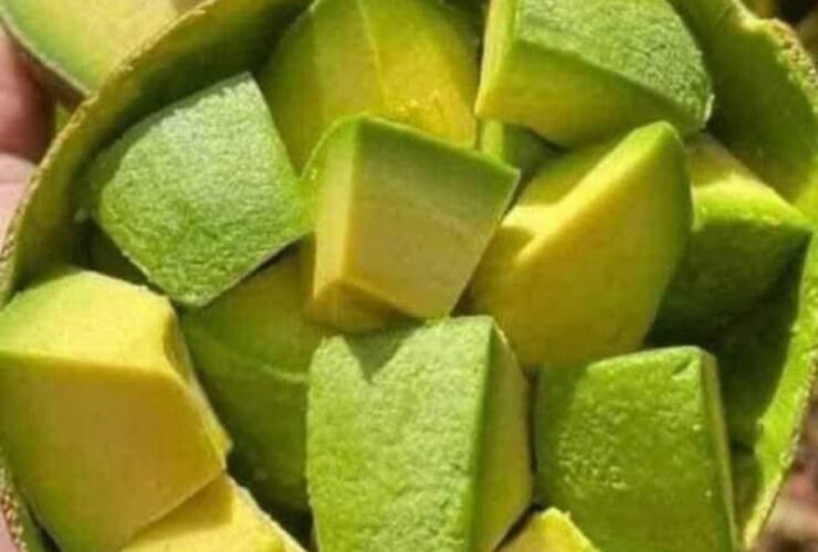 490a7377 fb81 46d8 ad97 bd3c4cddf847 1