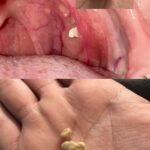 493084619 122167449398480977 8257324858791289787 n