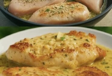 512582731 1056320503313646 6080508571793345512 n