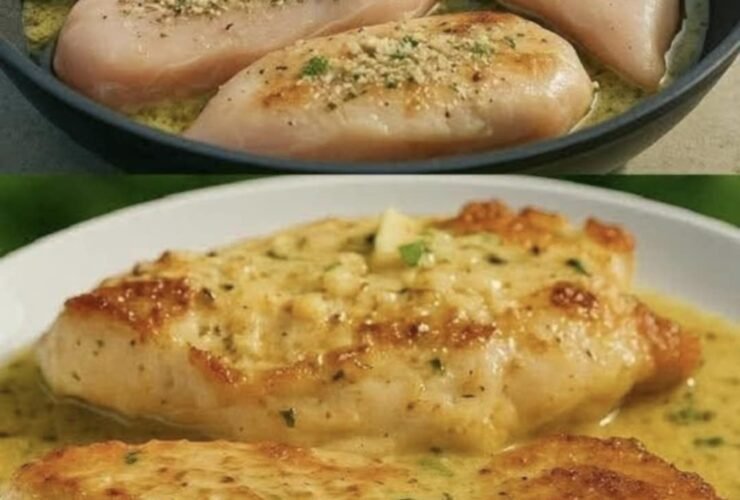 512582731 1056320503313646 6080508571793345512 n