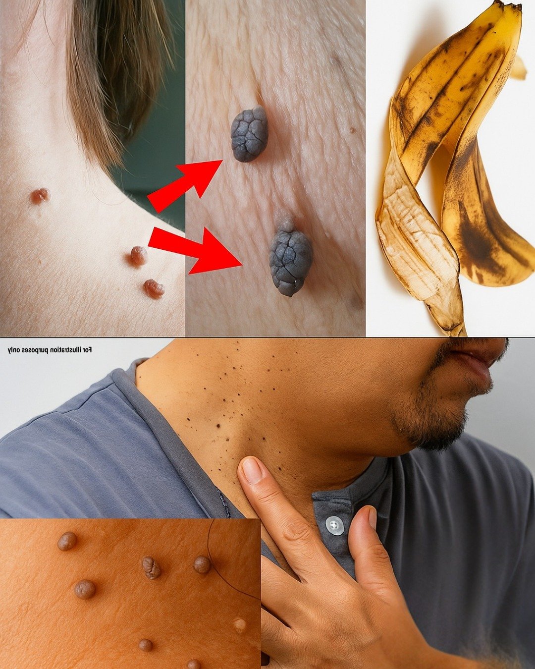 514884077 740029468603437 882054 1