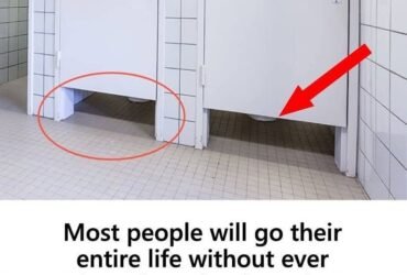 547448478 724846520600392 310937829700189803 n