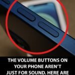 560182635 1370725437779485 6511709317420234079 n