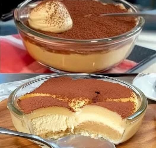 564634979 799905596095418 7301169440029578985 n