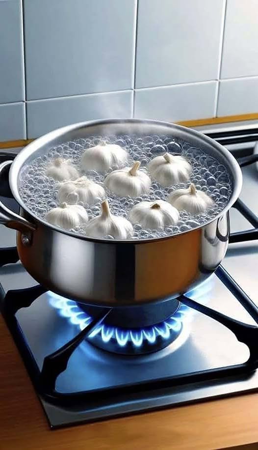 571199581 1244920687672504 4227099002362117954 n