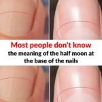 571818120 853742097091583 4218506580478427062 n