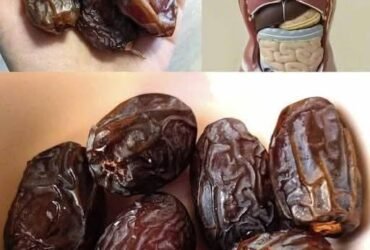 7b3c7596 eb03 493f ab9b 56d079e354fc