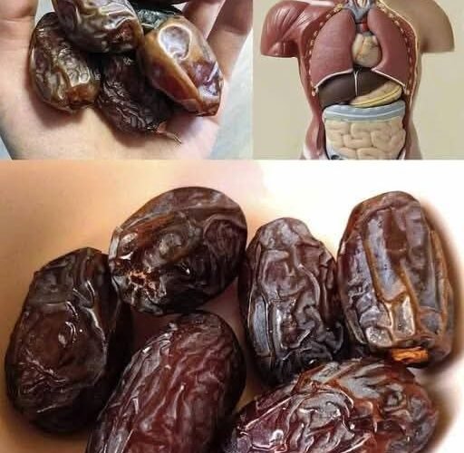 7b3c7596 eb03 493f ab9b 56d079e354fc