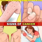 98f2b7ec c31d 476a 8f57 d6fc20569aef