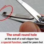 FB IMG 1761562489969