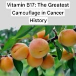 Screenshot 20251023 023416 Google