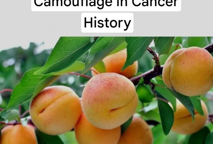 Screenshot 20251023 023416 Google