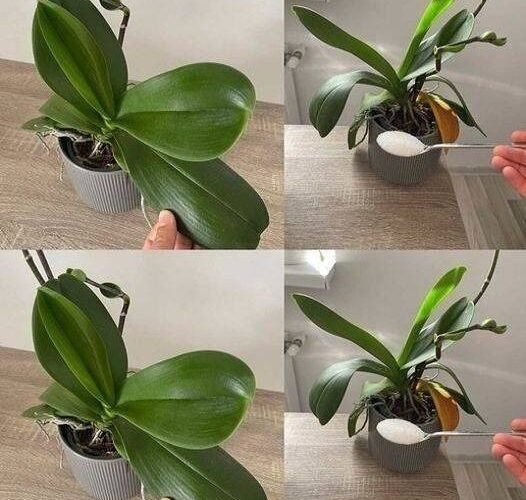 WhatsApp Image 2025 10 15 at 23.28.56 1 1