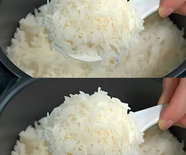 WhatsApp Image 2025 10 23 at 09.22.17