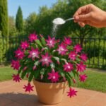 a DESKTOP TVPHJUF 2 DESKTOP TVPHJUF 4 3