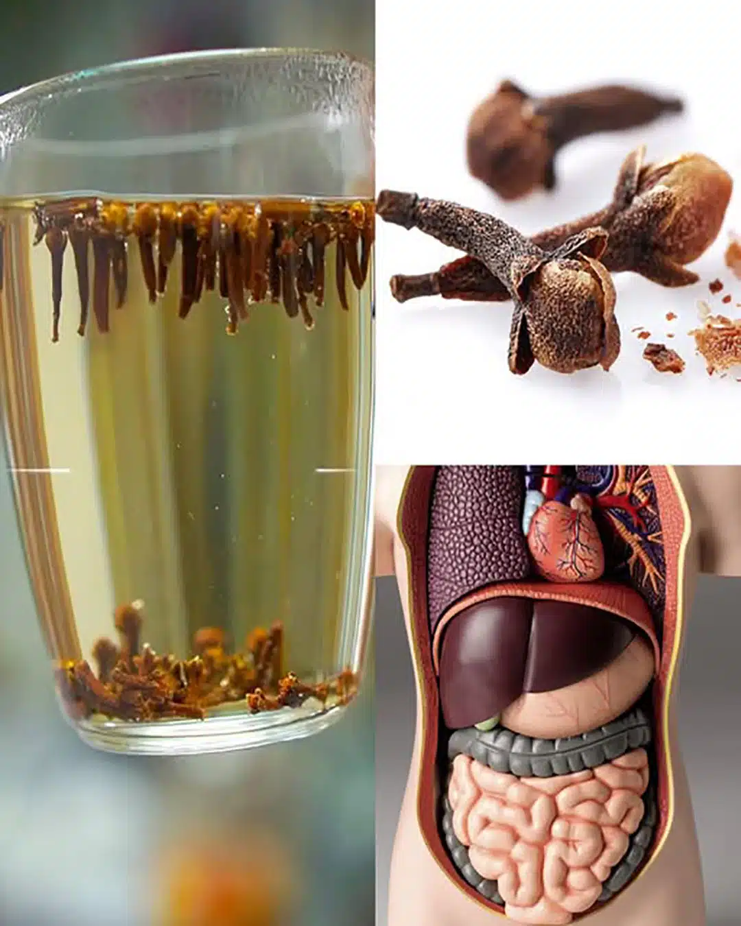 eau de clous de girofle des bienfaits insoupconnes.jpg