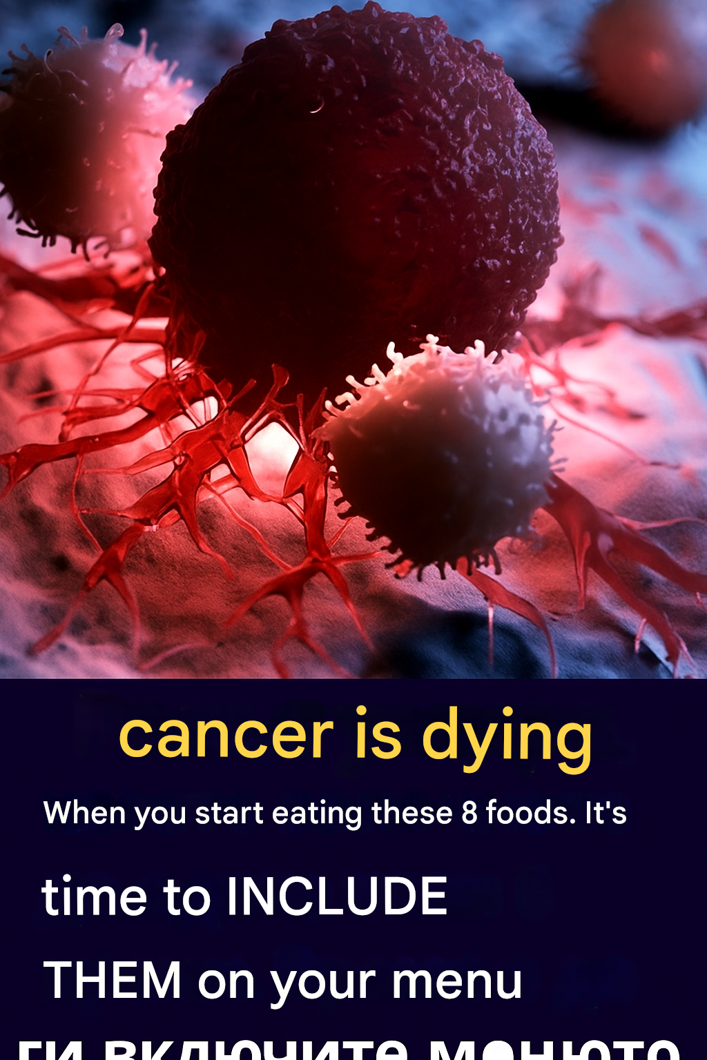 translated 265310757