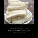 translated 813019425