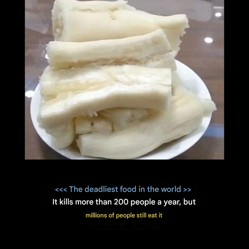 translated 813019425