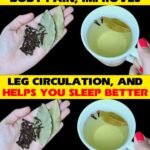 485723960 1211581000360597 3054193707108247102 n