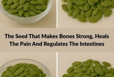 496081333 122124062750800244 6763907256571675258 n