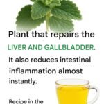 576379837 861585499769099 5742383589435073423 n