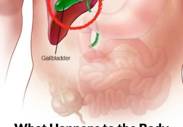 FB IMG 1764487021856