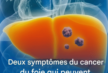 translated image 26 4