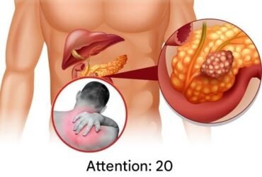 13298098 eb0d 4a1d 8b93 777f21a2a33e