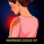 885c8de9 f78d 467c 876b b84b9c1168ee