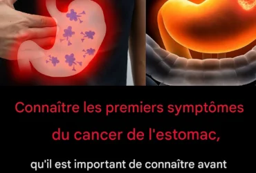 9eda9649 011d 48bd 890a b622b7f1ad18