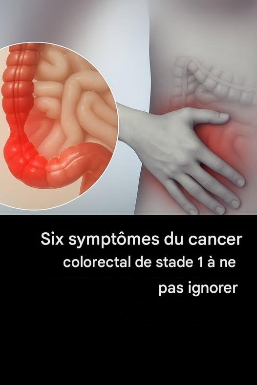 f061fe42 d4cb 4396 9cf1 cc52fb9e2232