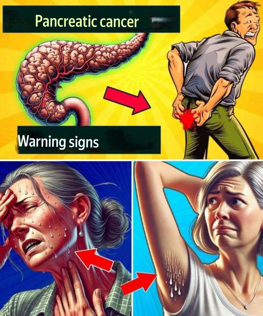 translation 20251208 191718