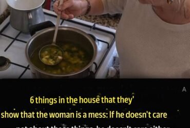 translation 20251208 232128