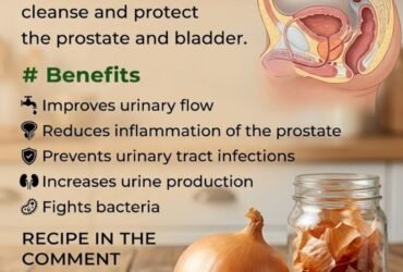 615492630 1437817307806258 8701360081189320571 n