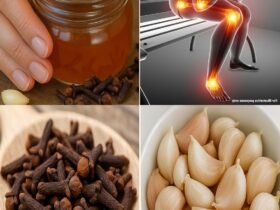 616018013 894413116422924 389670