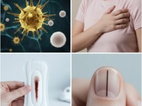 616088478 122180456756593989 8863420314185910241 n