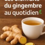 7cf277f7a88158f2ce573047519d0ece