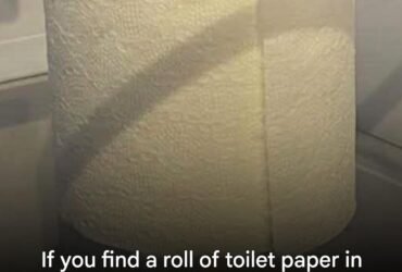 2c41fbf8 4e82 4e9e a320 e2add9f8d1c5