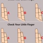 463650500 433315389785587 5931890552627917870 n