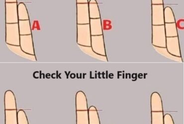 463650500 433315389785587 5931890552627917870 n