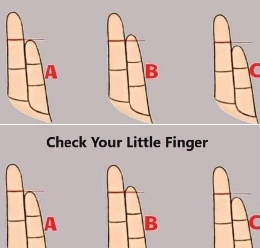 463650500 433315389785587 5931890552627917870 n