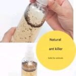 555702402 4014258392145600 2935345169903671785 n 1