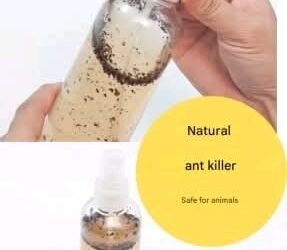 555702402 4014258392145600 2935345169903671785 n 1