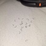 584959755 122148394856905878 7633259927906240496 n