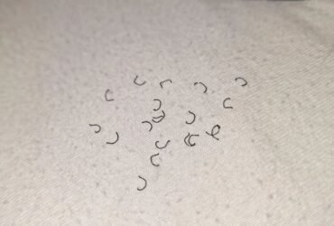 584959755 122148394856905878 7633259927906240496 n