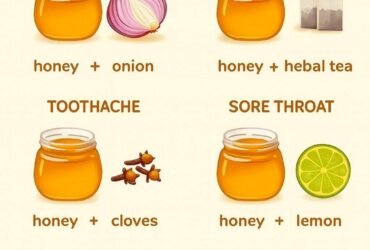 624609905 122100192369243309 4598332898967451993 n