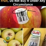 624726376 2374975579611887 7724308460445327279 n